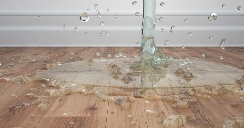 property water damage claim